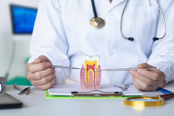 Best Emergency Orthodontic Repairs in La Crosse, KS